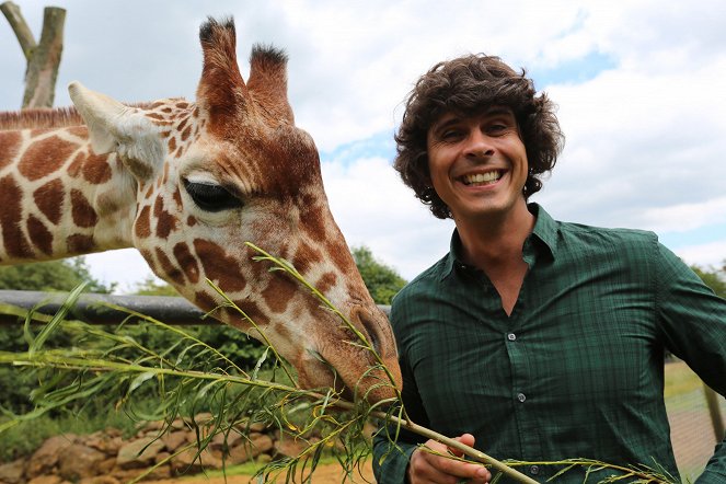 Andy's Baby Animals - Film - Andy Day