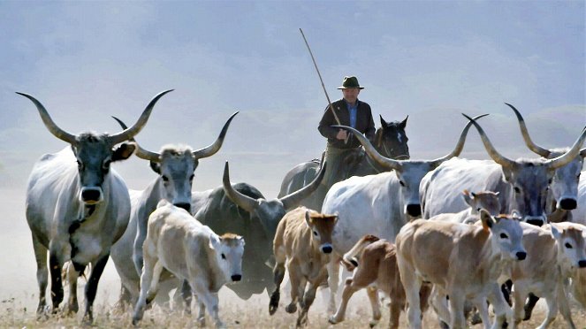 The Last Italian Cowboys - Film