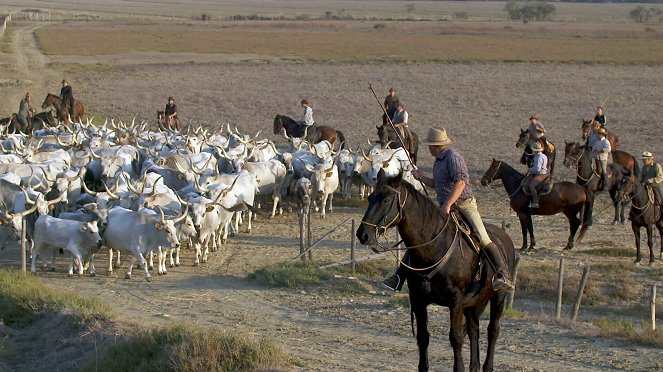 The Last Italian Cowboys - Z filmu