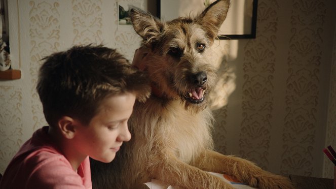 Racko - Ein Hund für alle Fälle - Echte Freunde - Filmfotos - Lino de Greiff