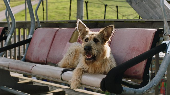 Racko - Ein Hund für alle Fälle - Echte Freunde - Filmfotos