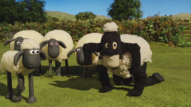Shaun le mouton - Season 5 - Avis de recherche - Film