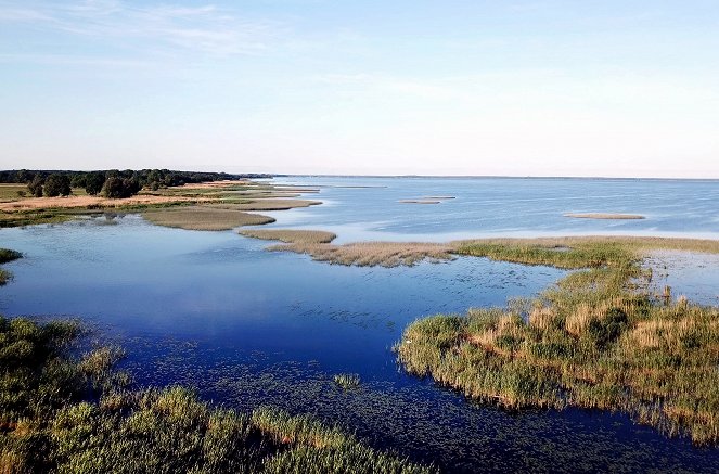 Das Oder-Delta - Grenzenlose Wildnis an der Ostsee - Filmfotos