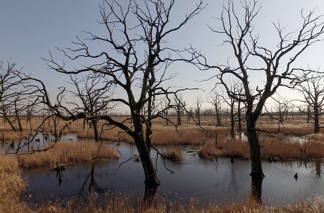 Das Oder-Delta - Grenzenlose Wildnis an der Ostsee - Do filme