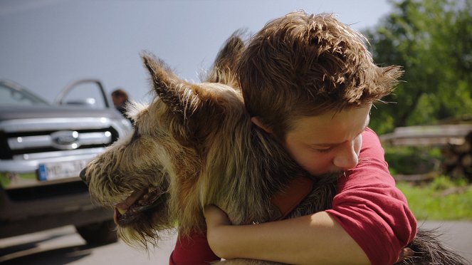 Racko - Ein Hund für alle Fälle - Racko in Love - Filmfotók - Leon de Greiff