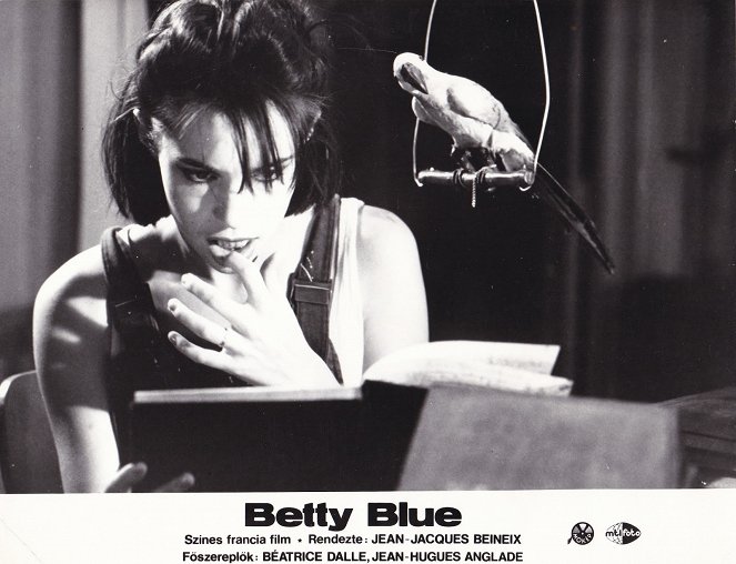 Betty Blue 37º,2 de Manhã - Cartões lobby