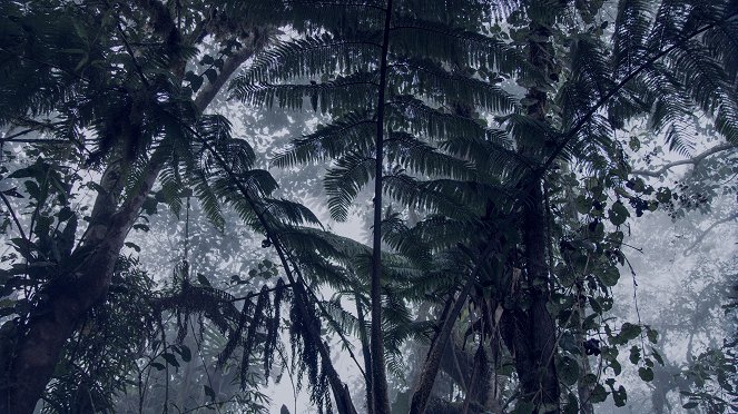 Nespútaná Patagónia - Život v mlžných oblacích - Z filmu