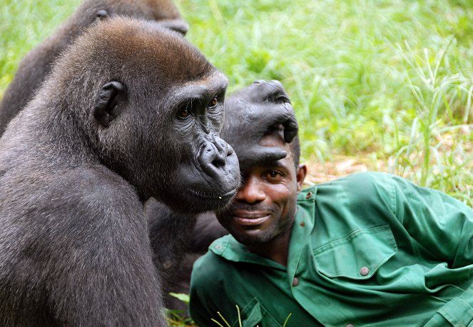 Bama and the Lost Gorillas - Do filme