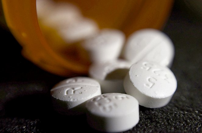 Süchtig nach Schmerzmitteln - Die Opioiden-Krise in den USA - Z filmu