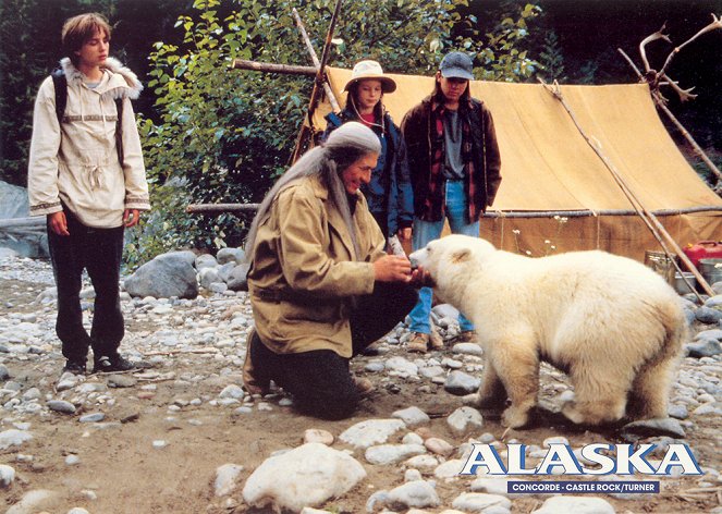 Alaska - Die Spur des Polarbären - Lobbykarten - Vincent Kartheiser, Thora Birch