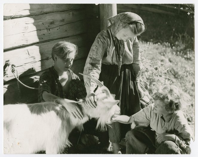 Die Kinder vom Wildbachfelsen - Filmfotos - Hans Lindgren, Siv Hansson, Anders Nyström