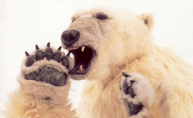 Bílý medvědí král - Z filmu