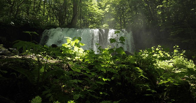 Tohoku, le Japon sauvage - Filmfotos