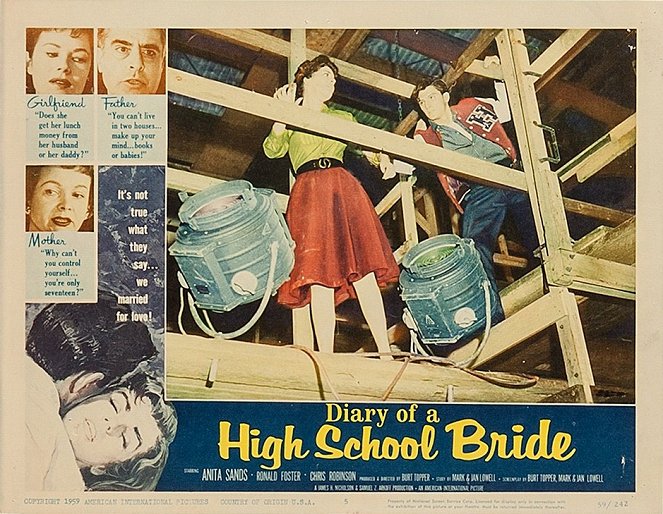 Diary of a High School Bride - Lobbykaarten