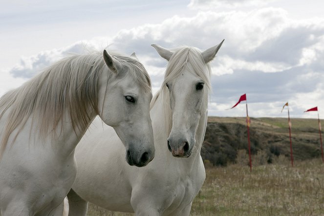 Heartland - Paradies für Pferde - Freiheitssuche - Filmfotos