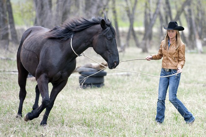 Heartland - Paradies für Pferde - Season 5 - Freiheitssuche - Filmfotos - Amber Marshall