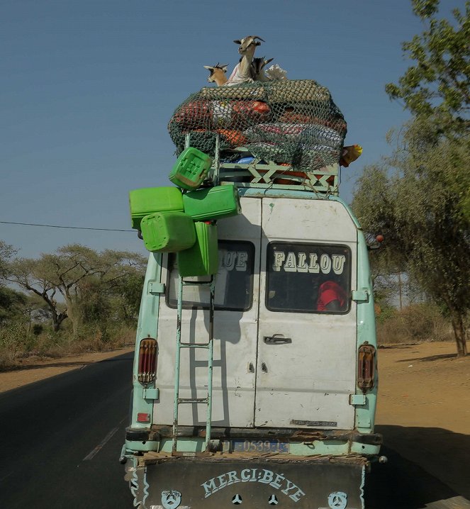 Sénégal, le sage de l'Afrique - Filmfotók