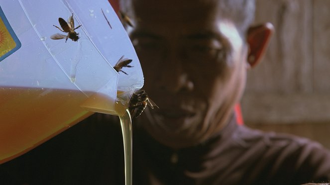 Les Maîtres des abeilles - De la película