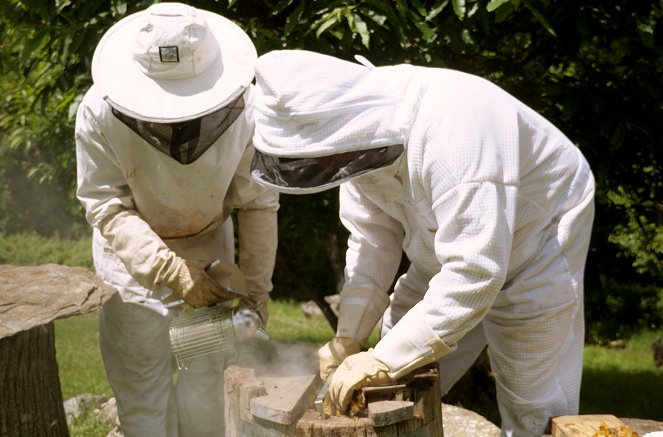 Mistři včelařství - Z filmu