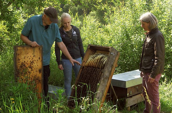 Les Maîtres des abeilles - Film