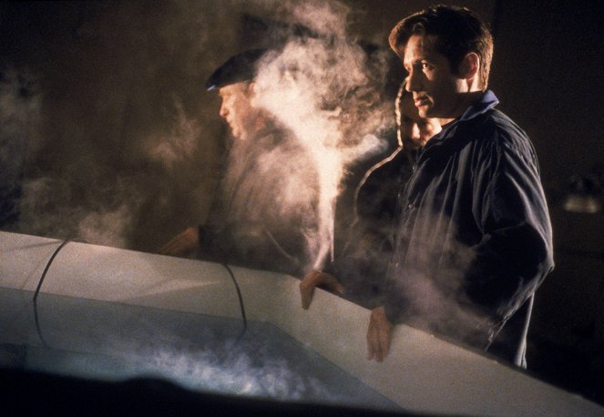 The X-Files - Gethsemane - Van film - David Duchovny