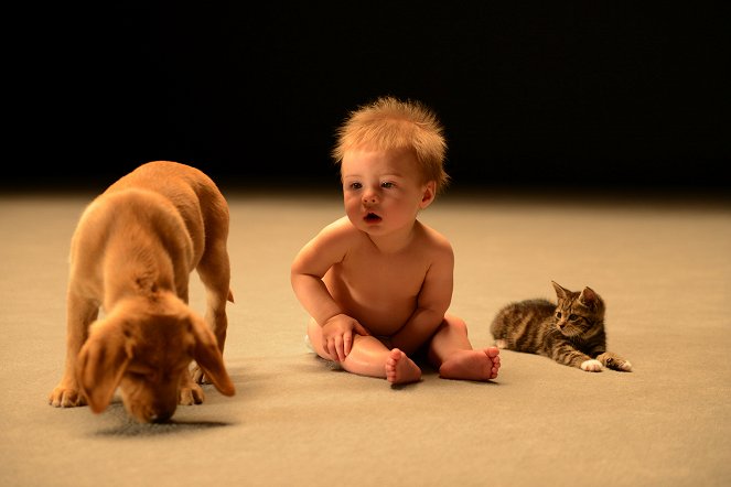 Die geheime Welt der Babys - Filmfotos