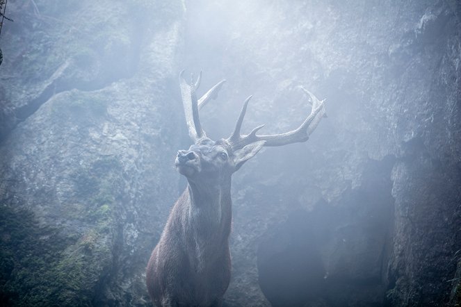 Black Spot – Szólít az erdő - Season 2 - Szentély - Filmfotók