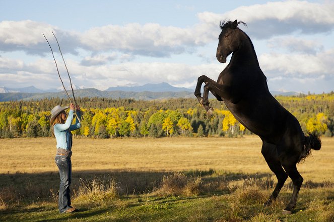 Heartland - Paradies für Pferde - Zurück zu Amy - Filmfotos