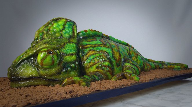 Extreme Cake Makers - Photos