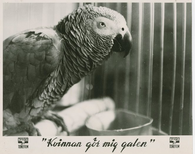 Kvinnan gör mig galen - Lobby Cards