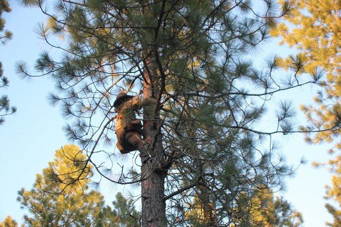 The Woodsmen - Leben in den Bäumen - Filmfotos