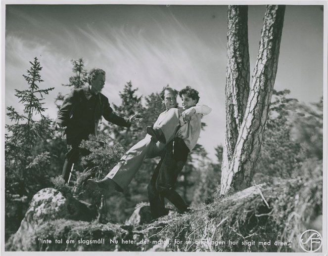 Hans nåds testamente - Fotocromos - Carl Ström, Willy Peters, Alf Kjellin