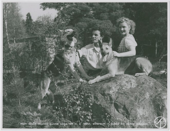 Hans nåds testamente - Lobby Cards - Alf Kjellin, Barbro Kollberg