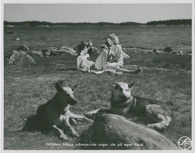 Hans nåds testamente - Lobby Cards - Alf Kjellin, Barbro Kollberg