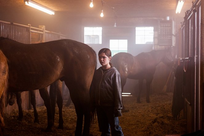 Heartland - Paradies für Pferde - Season 6 - Widersprüchliche Signale - Filmfotos