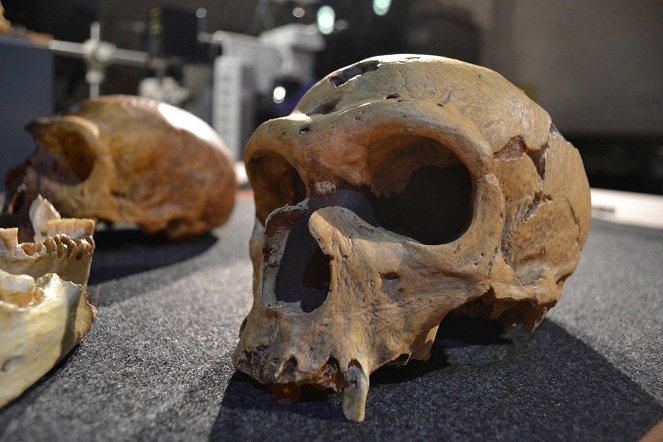 Das dunkle Geheimnis der Neandertaler - Z filmu