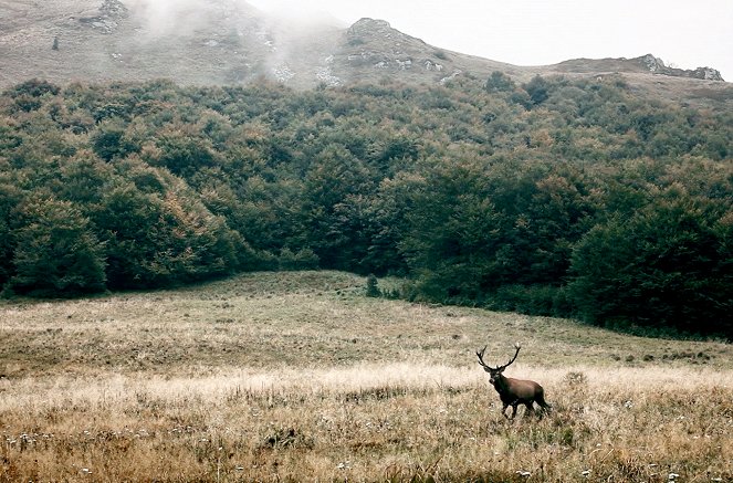 Die Natur kehrt zurück - Renaturierung in Europa - Filmfotos
