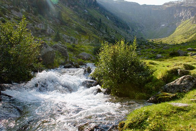 Bergwelten - Nationalpark Hohe Tauern - Im Salzburger Land - De filmes