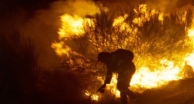 Lo que arde - De la película