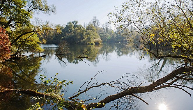 Abenteuer Erde: Im Dschungel der Rheinauen - Kuvat elokuvasta