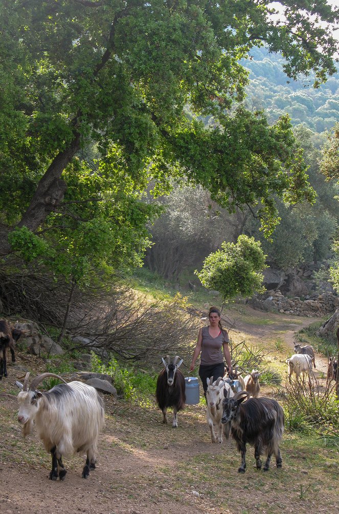 Trauminseln - Mit dem Rad auf Kreta - Filmfotos