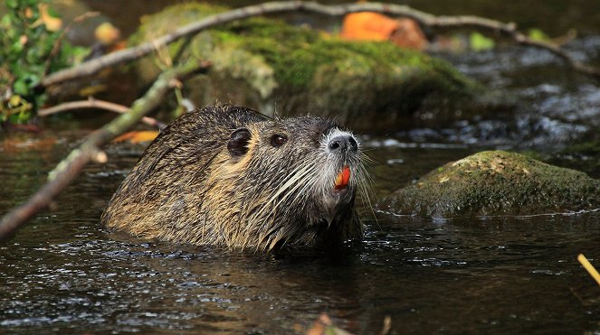 Abenteuer Erde: NRW - Land der Talsperren - Photos