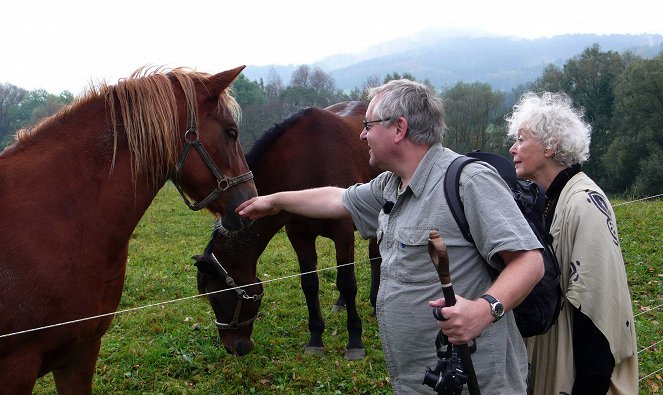 Magické hory - Bezděz - Photos