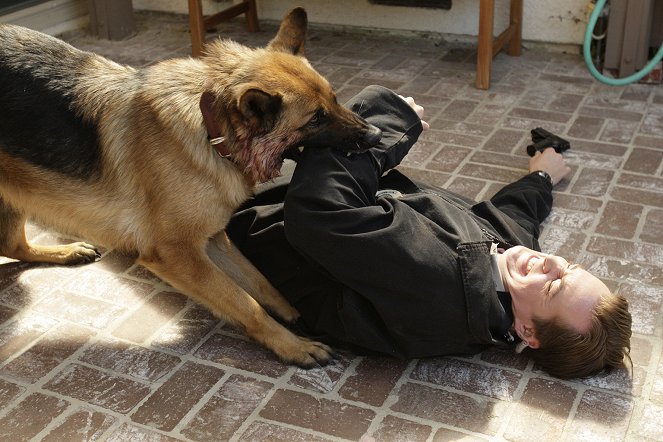 NCIS : Enquêtes spéciales - Dog Tags - Film - Sean Murray