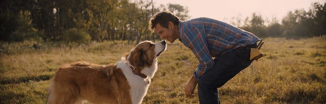 A Dog's Journey - Kuvat elokuvasta - Dennis Quaid