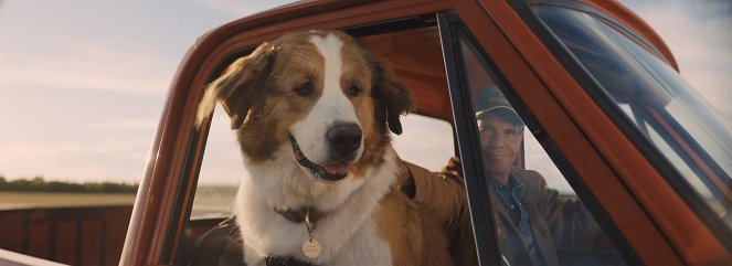 A Dog's Journey - Van film - Dennis Quaid