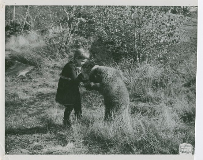 Sampo Lappelill - Van film - Leif Bexelius