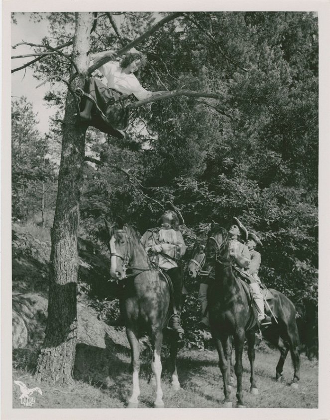 Swedish Horsemen - Photos