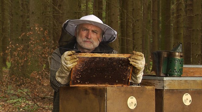 Krajina pro včely - Kuvat elokuvasta