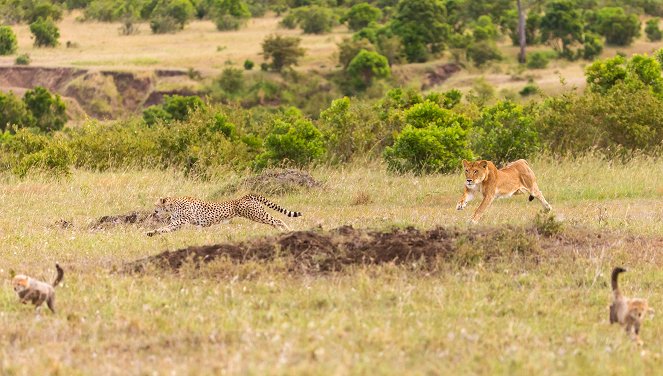 Die fünf Geparde - Gemeinsam durch die Serengeti - De la película